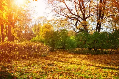 4 Reasons Why Fall is our Favorite Season