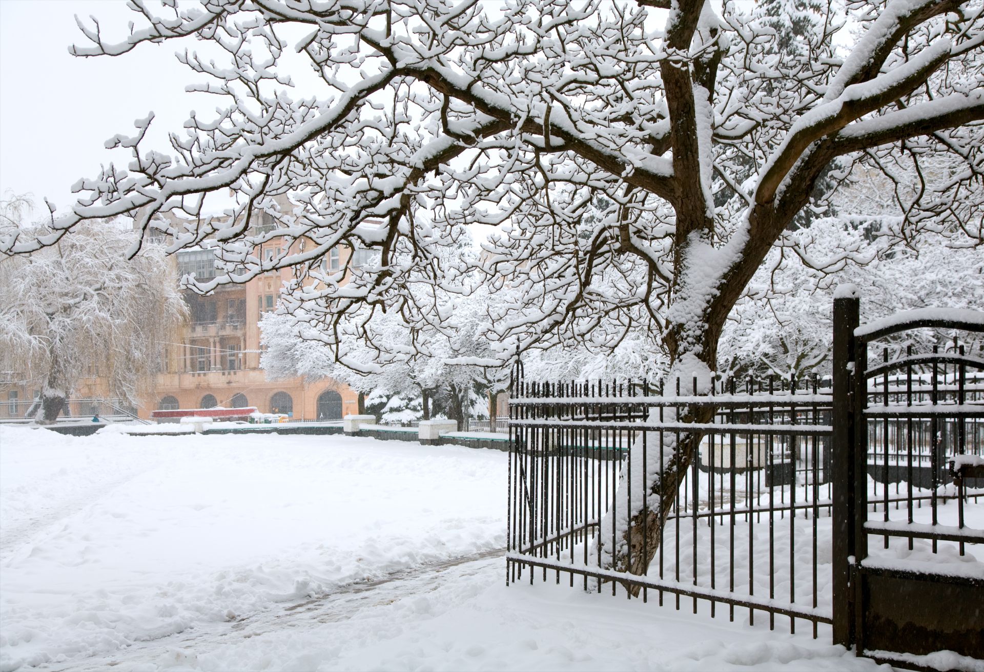 Top Vacation Destinations: Winter in Southampton