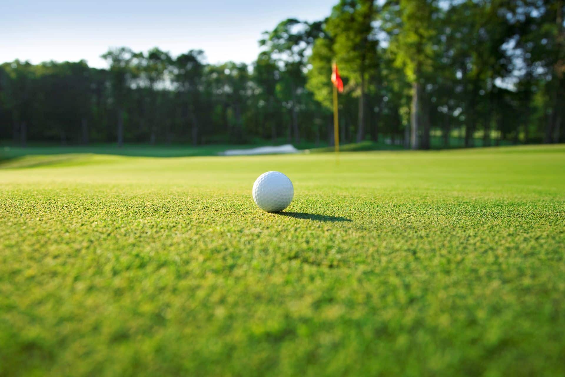 Best Golf Courses to Visit in Southampton