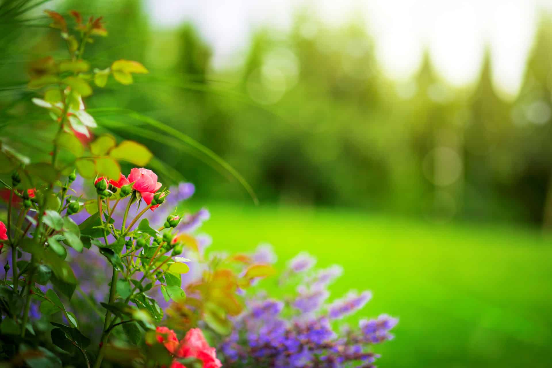 Long Island’s must see Gardens