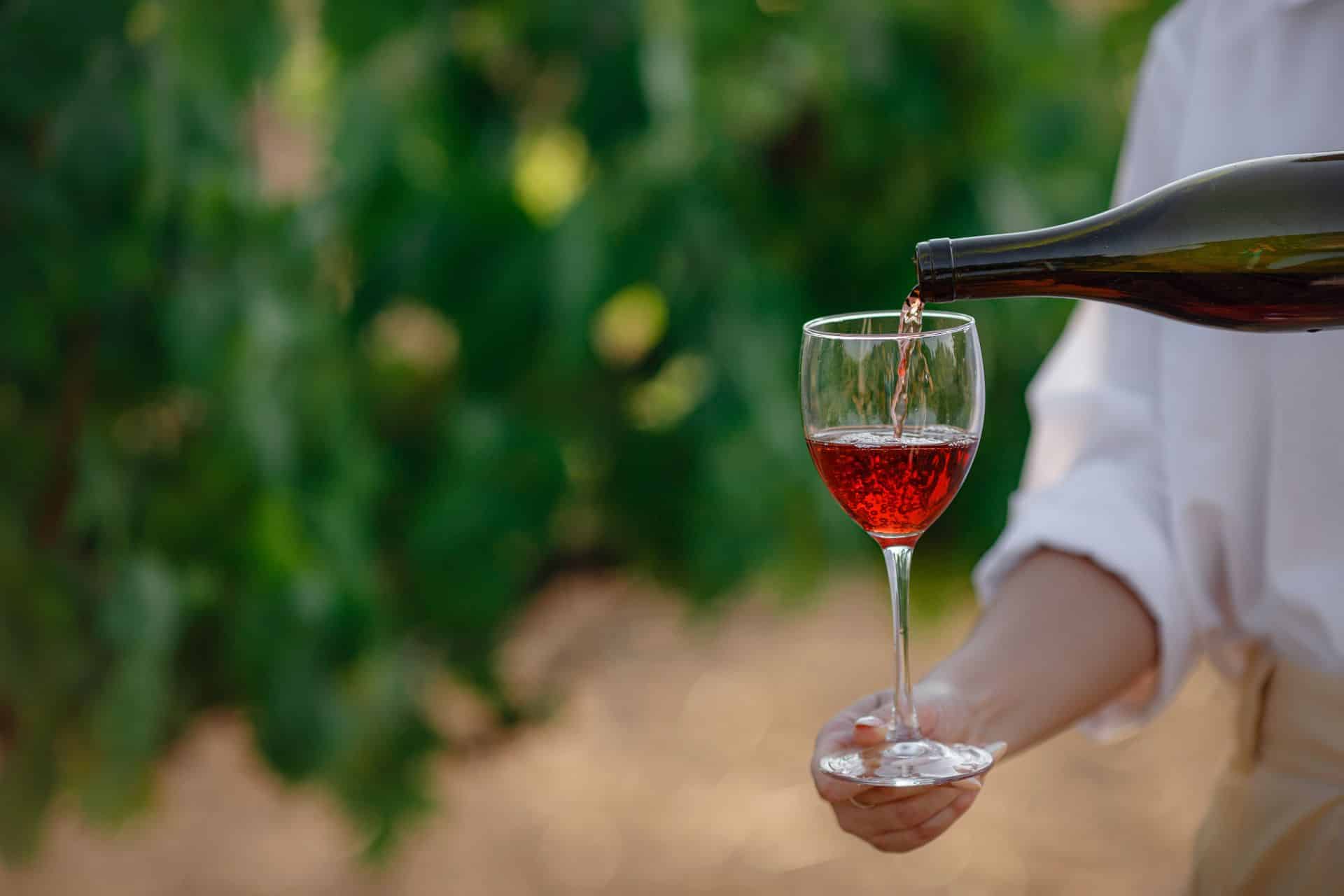10 Vineyards Pouring the Best of the Hamptons & North Fork