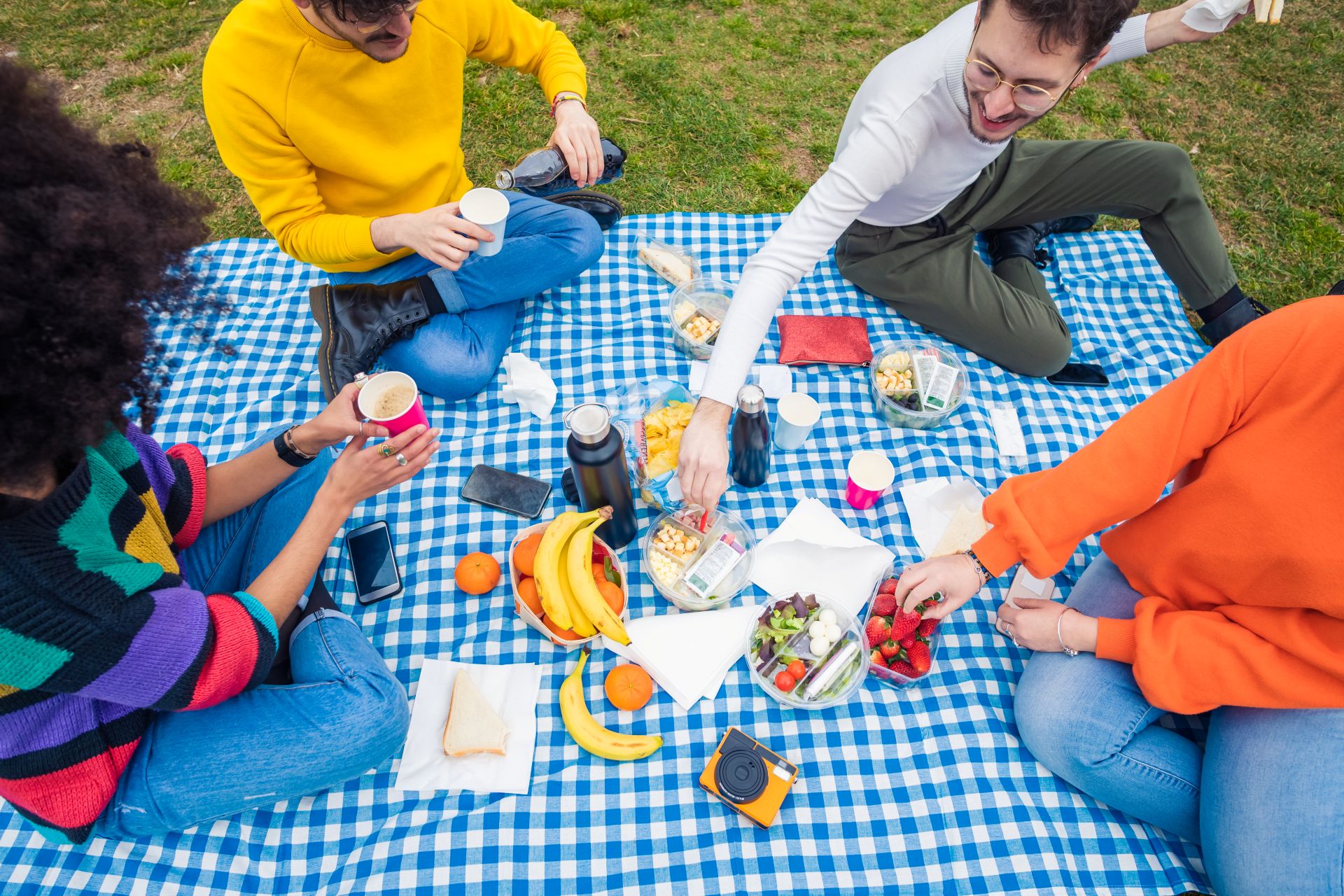Best Picnic Spots in NYC