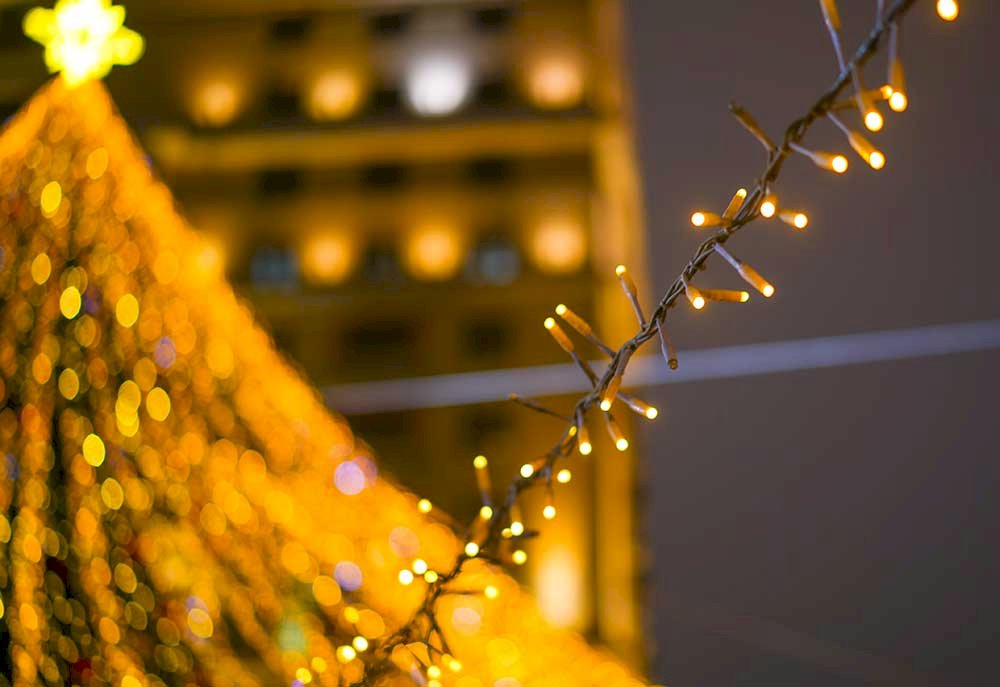 10 Things to Do in Long Island for the Perfect Christmas