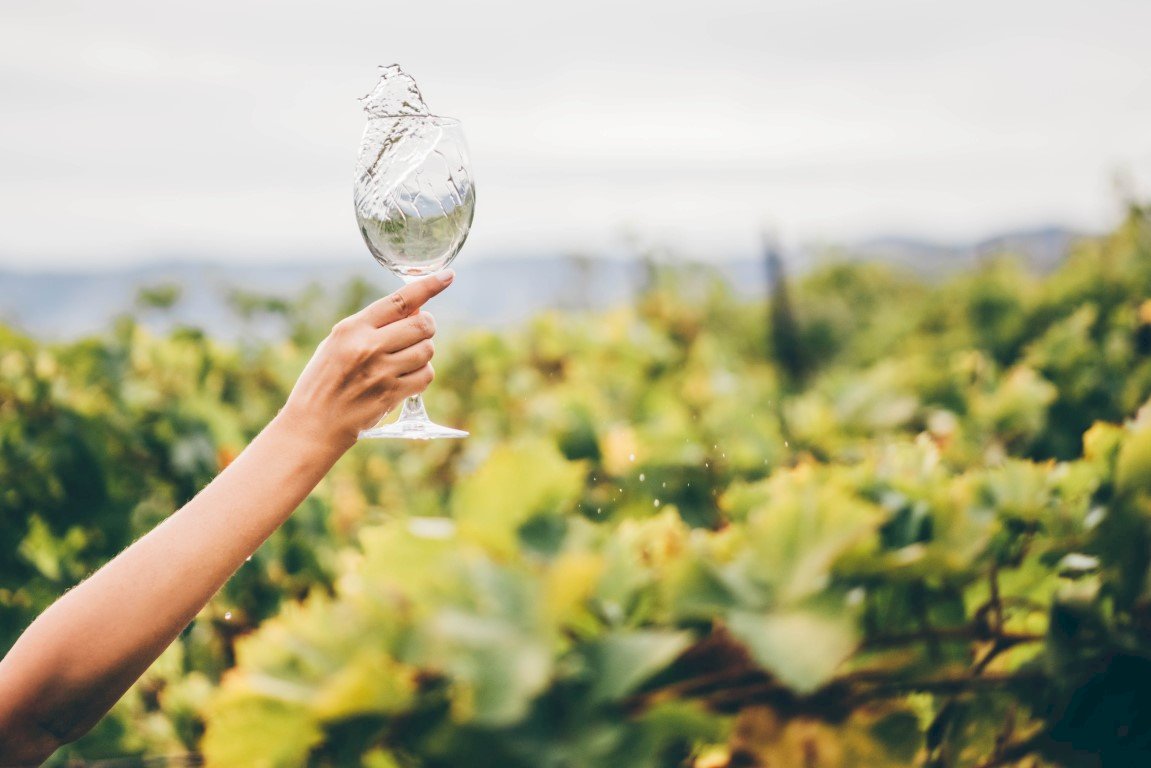 Wine Enthusiast’s Paradise: Discovering Long Island’s Best Winery Experiences