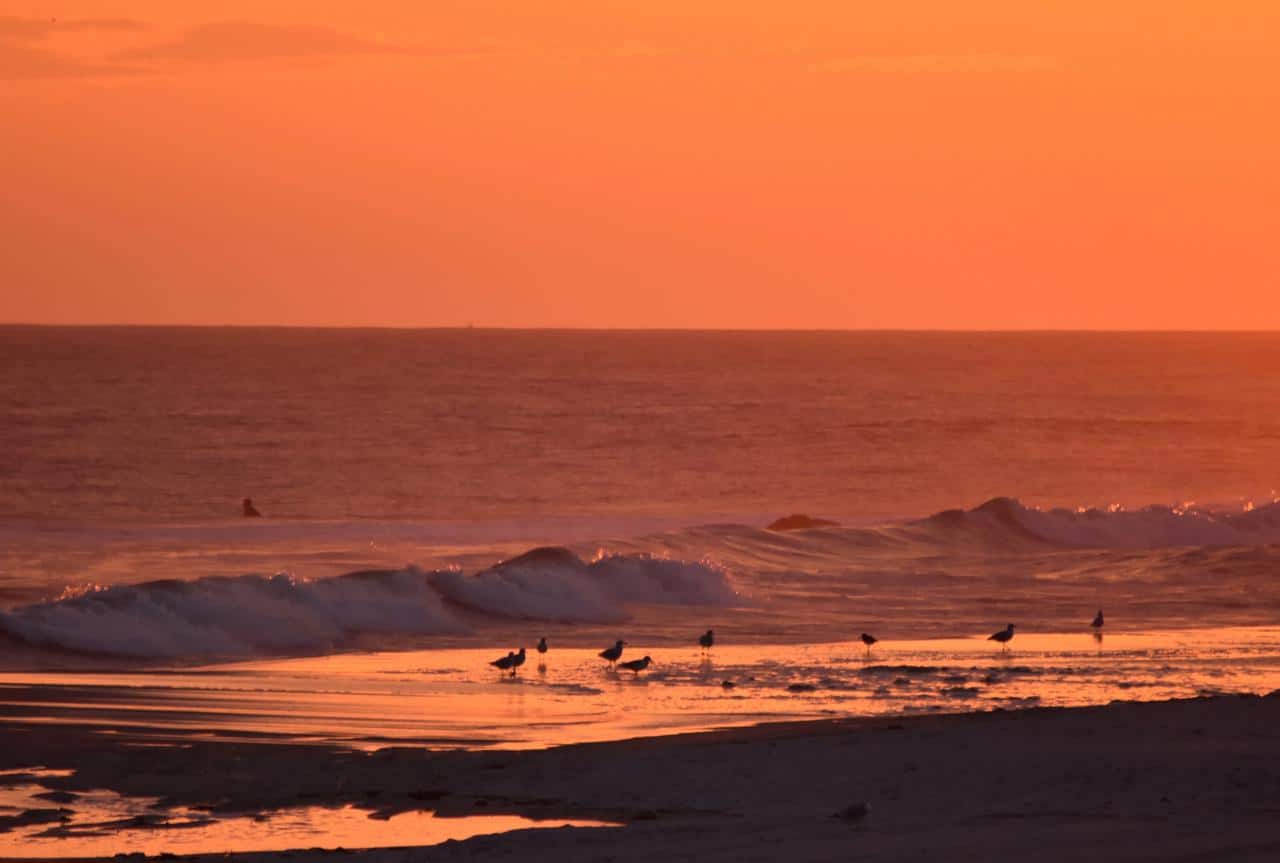 Unique Things to Do on Long Island Beyond the Beaches